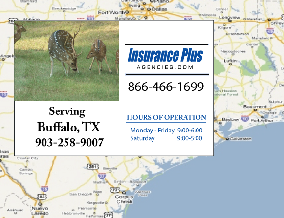 Insurance Plus Agencies of Texas (903)258-9007 is your Mexico Auto Insurance Agent in Buffalo, Texas.